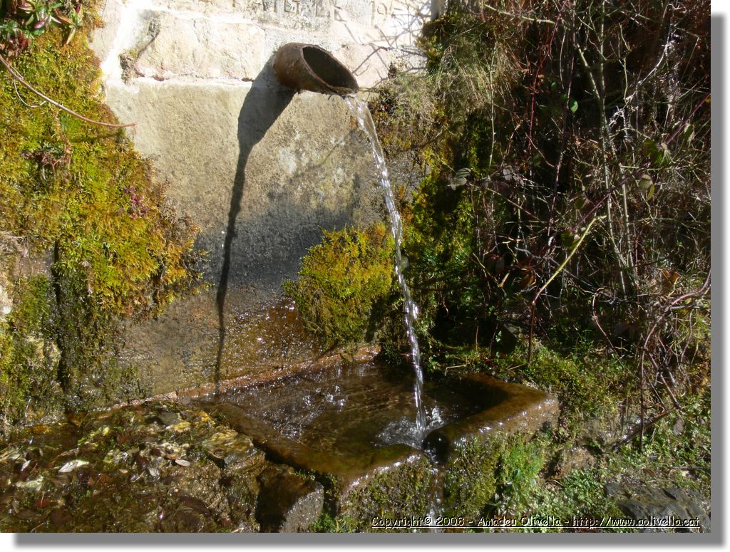 1Montseny_090.jpg