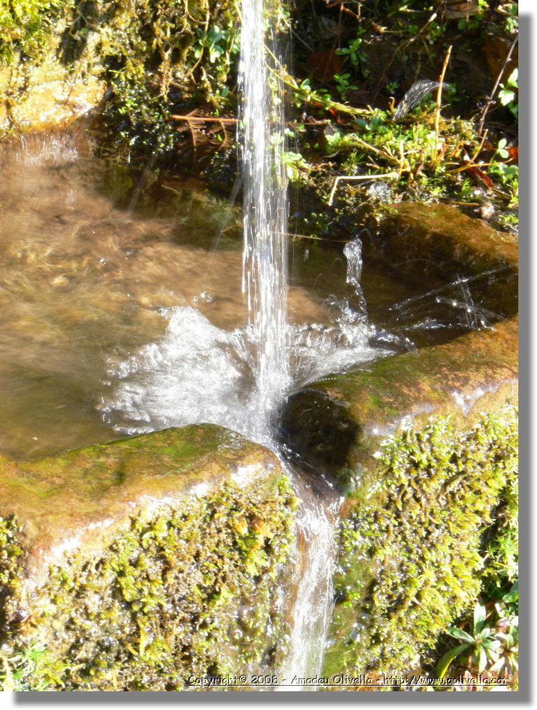 1Montseny_091.jpg