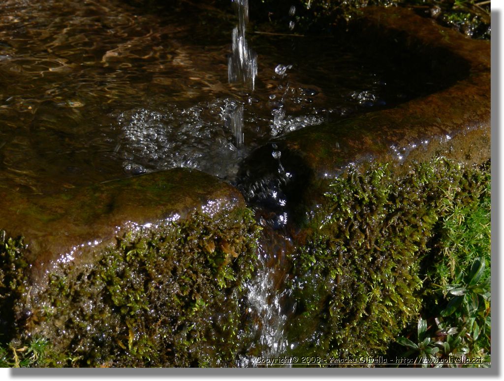 1Montseny_092.jpg