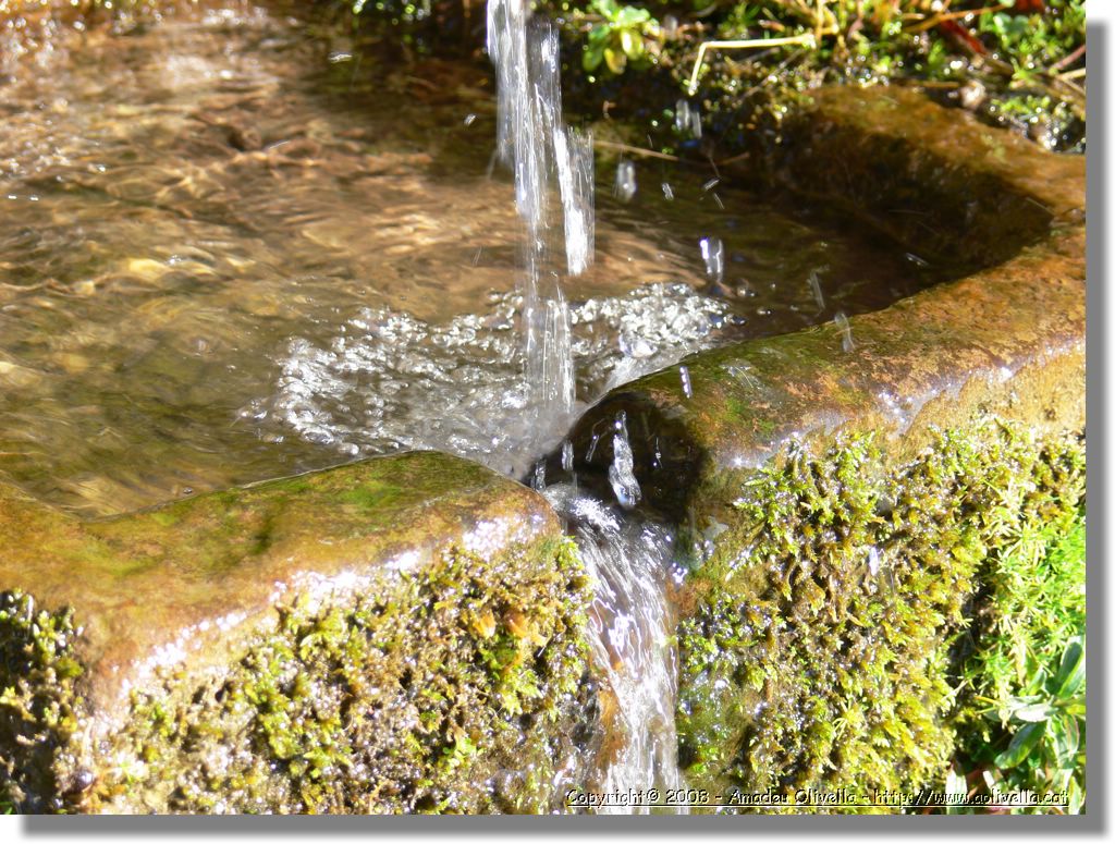 1Montseny_093.jpg