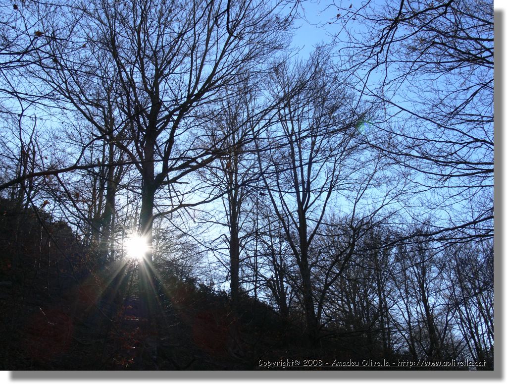 1Montseny_094.jpg