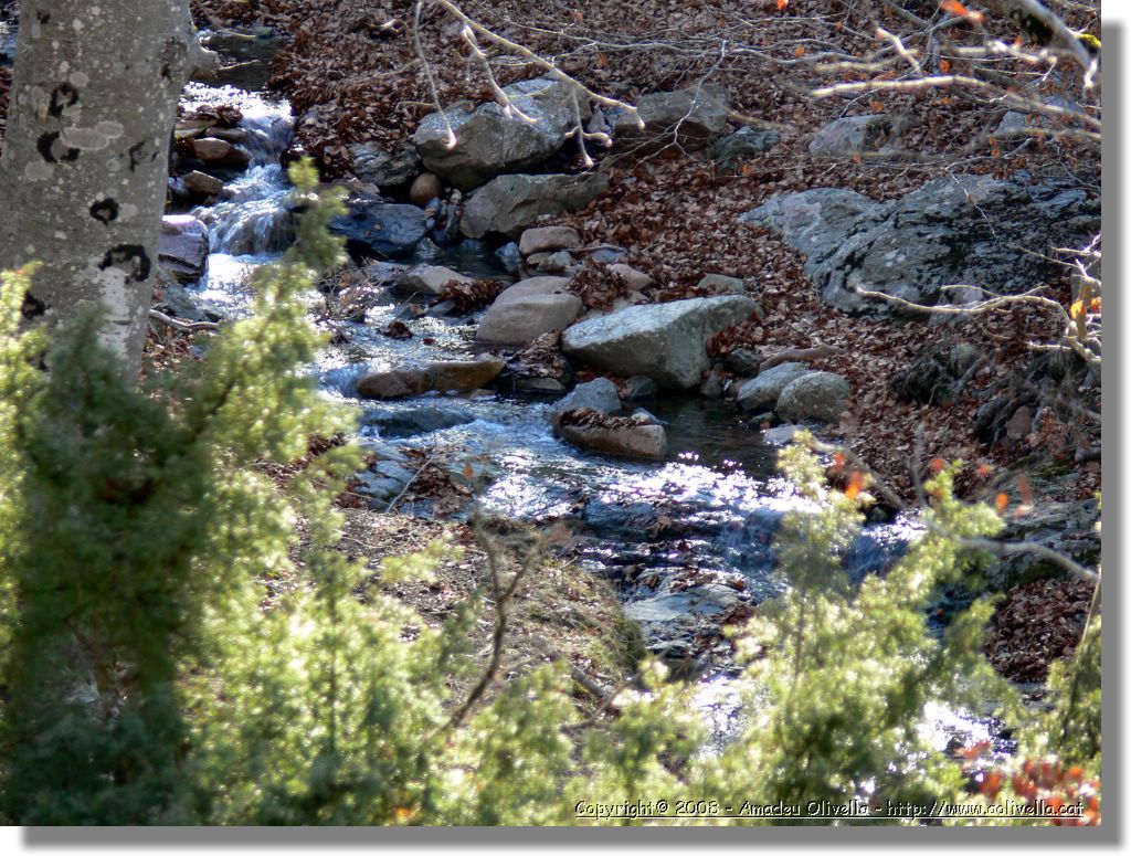 1Montseny_095.jpg