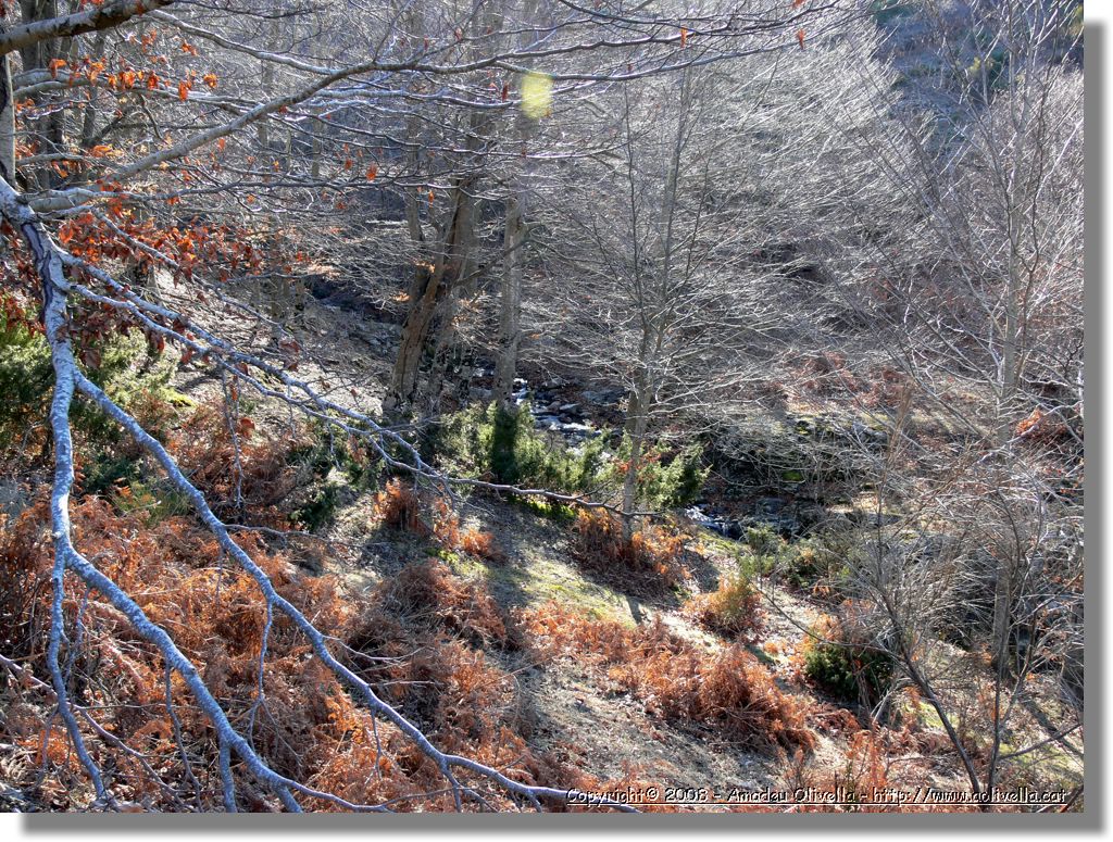 1Montseny_096.jpg