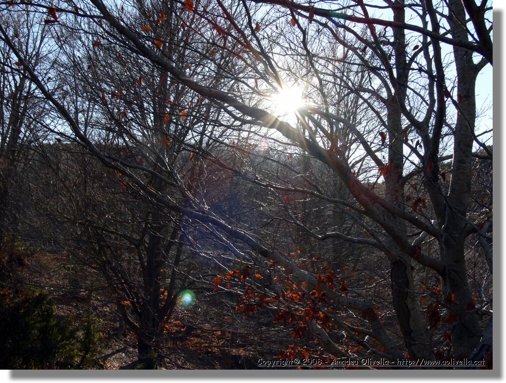 1Montseny_097.jpg