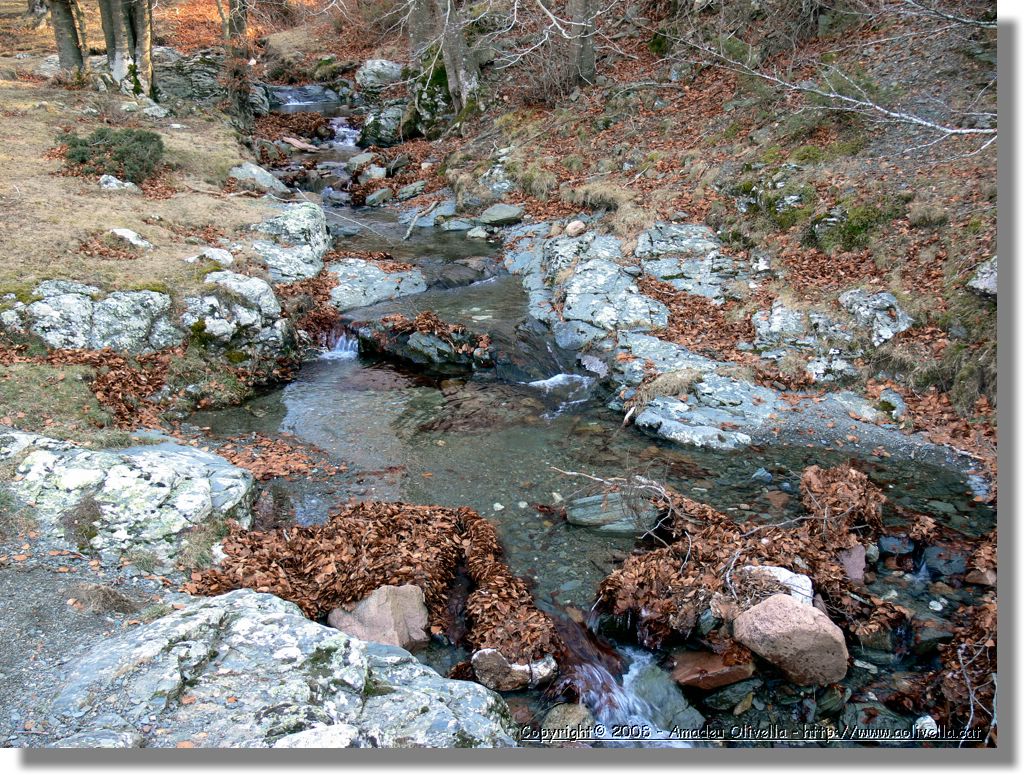 1Montseny_098.jpg