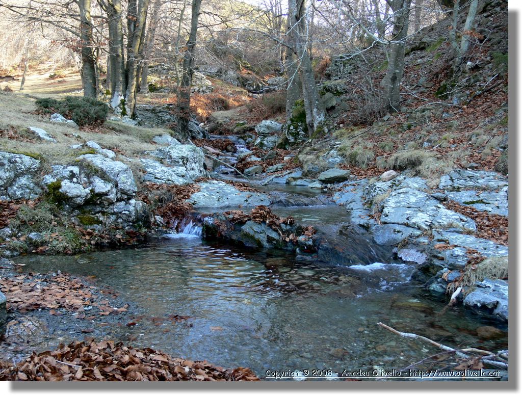 1Montseny_099.jpg