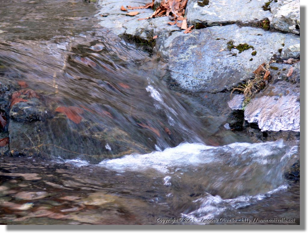 1Montseny_100.jpg