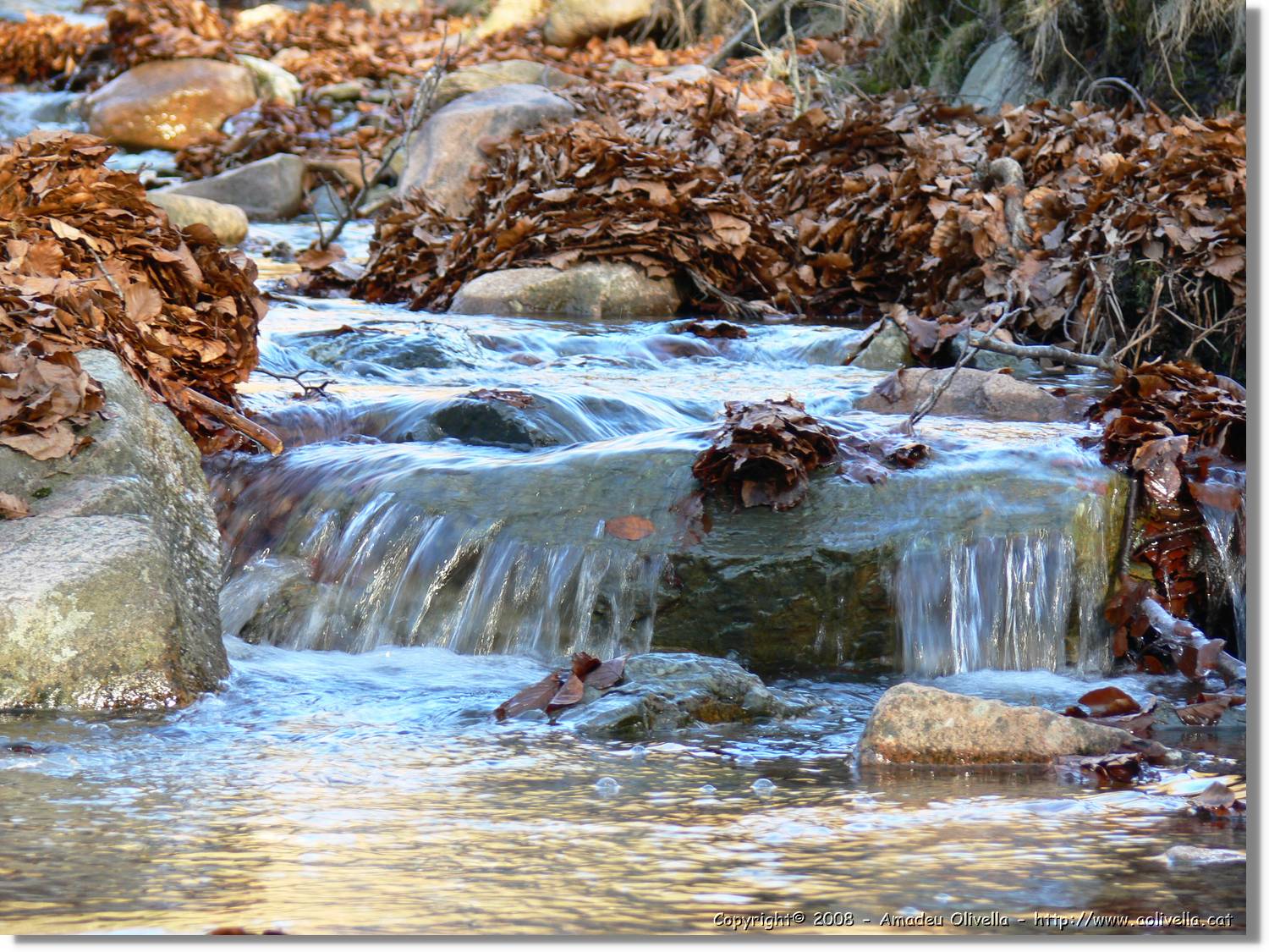 1Montseny_101.jpg