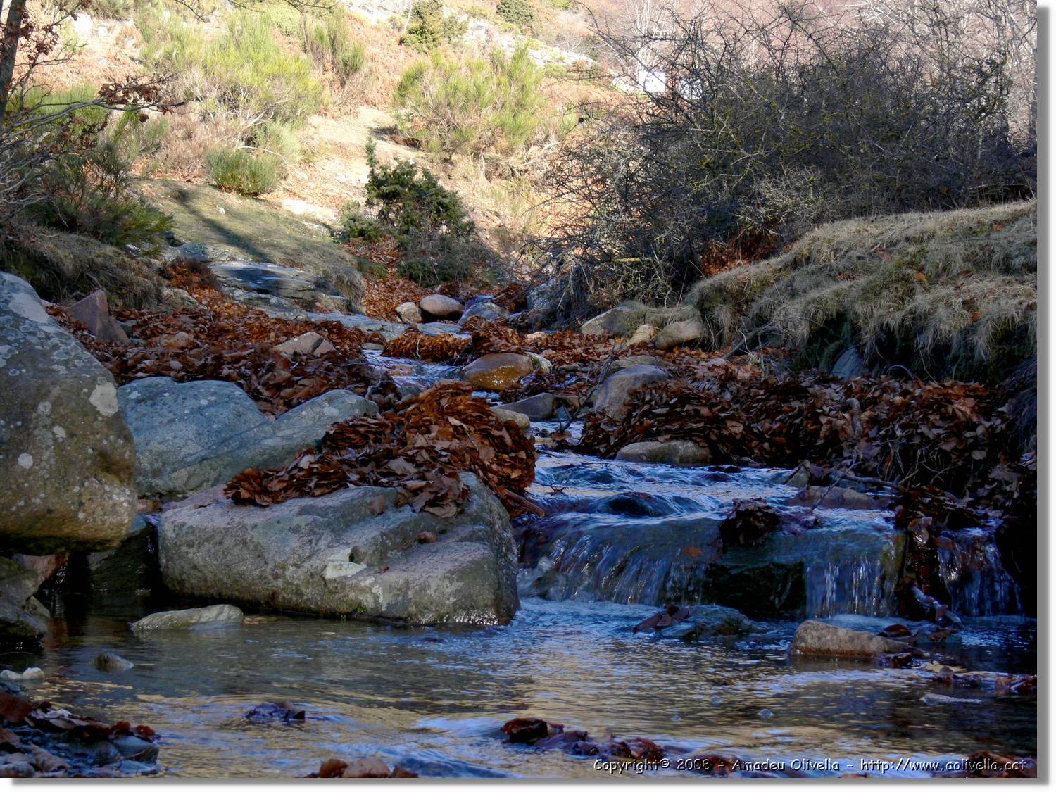 1Montseny_102.jpg