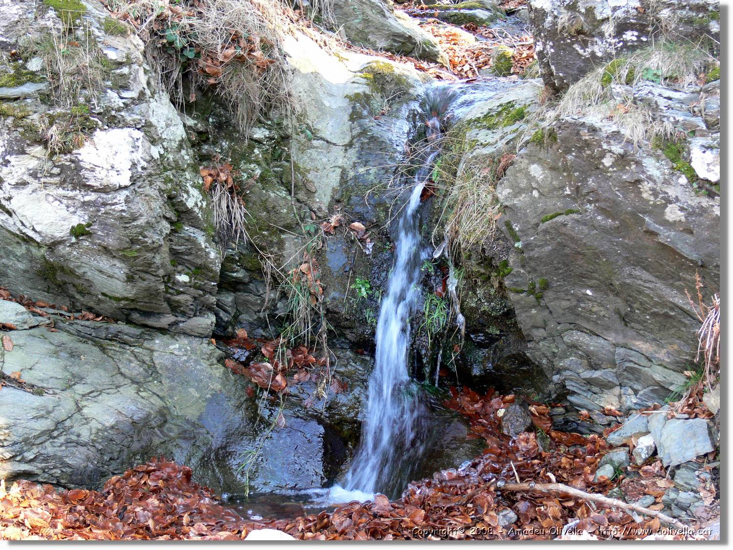 1Montseny_105.jpg