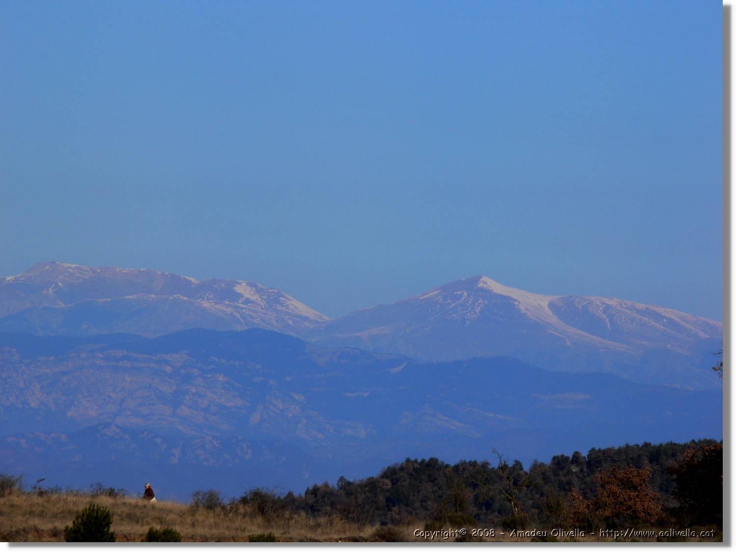 2_Moia_126.jpg