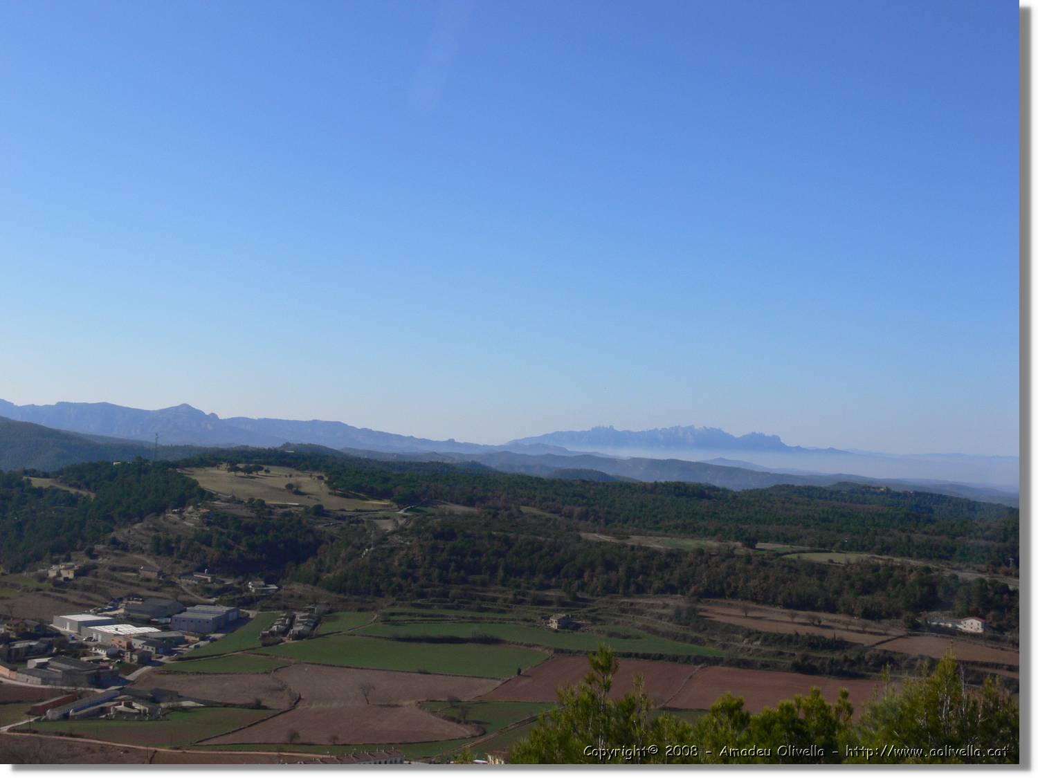2_Moia_134.jpg