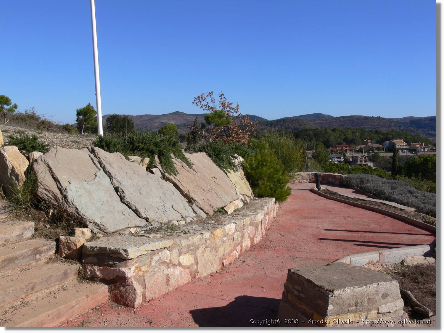 2_Moia_143.jpg