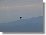 1Montseny_061.jpg