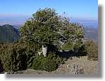 1Montseny_065.jpg