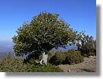 1Montseny_066.jpg