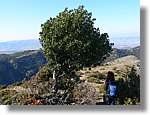 1Montseny_067.jpg