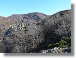 1Montseny_068.jpg