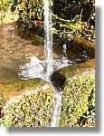 1Montseny_091.jpg