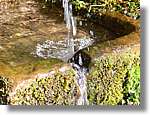 1Montseny_093.jpg