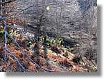 1Montseny_096.jpg