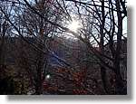 1Montseny_097.jpg