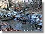 1Montseny_099.jpg