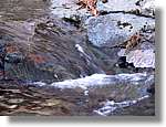 1Montseny_100.jpg