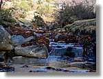 1Montseny_102.jpg