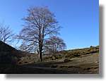 1Montseny_103.jpg