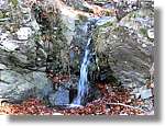 1Montseny_105.jpg