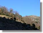 1Montseny_110.jpg