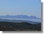 2_Moia_122.jpg