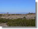 2_Moia_123.jpg