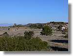 2_Moia_124.jpg