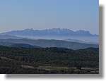 2_Moia_129.jpg