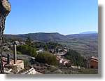 2_Moia_130.jpg
