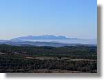 2_Moia_136.jpg