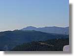 2_Moia_137.jpg