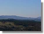 2_Moia_139.jpg