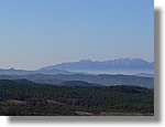 2_Moia_140.jpg