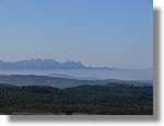 2_Moia_141.jpg