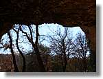 2_Moia_146.jpg