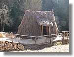 2_Moia_150.jpg
