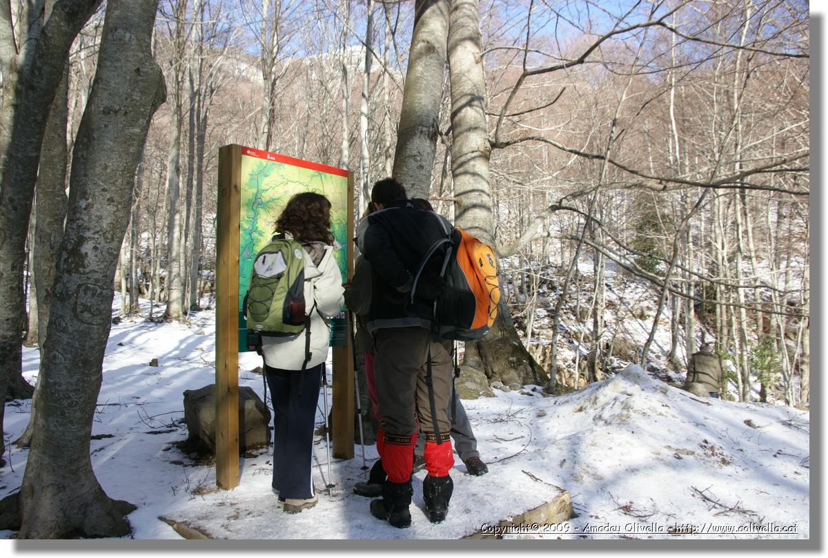 Montseny_001.jpg