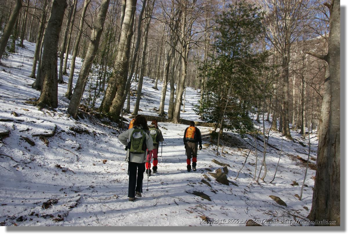 Montseny_002.jpg