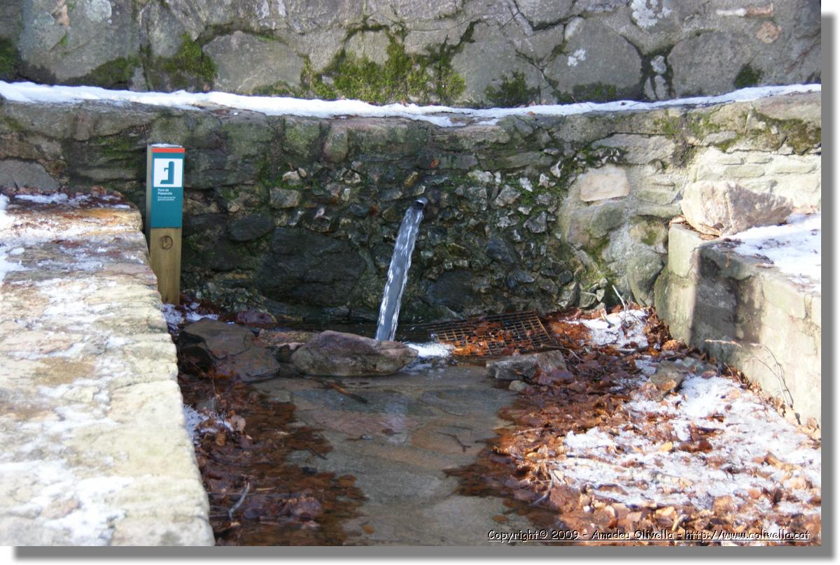 Montseny_003.jpg