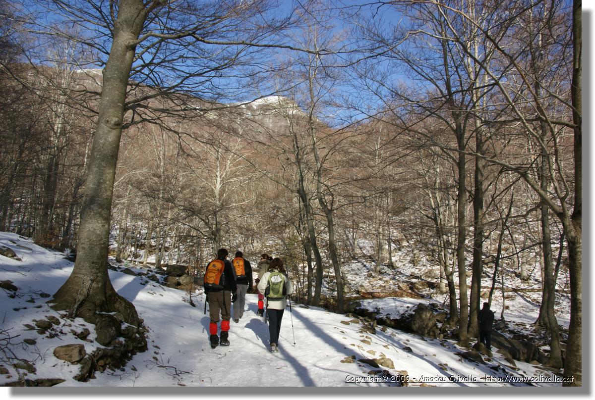 Montseny_004.jpg