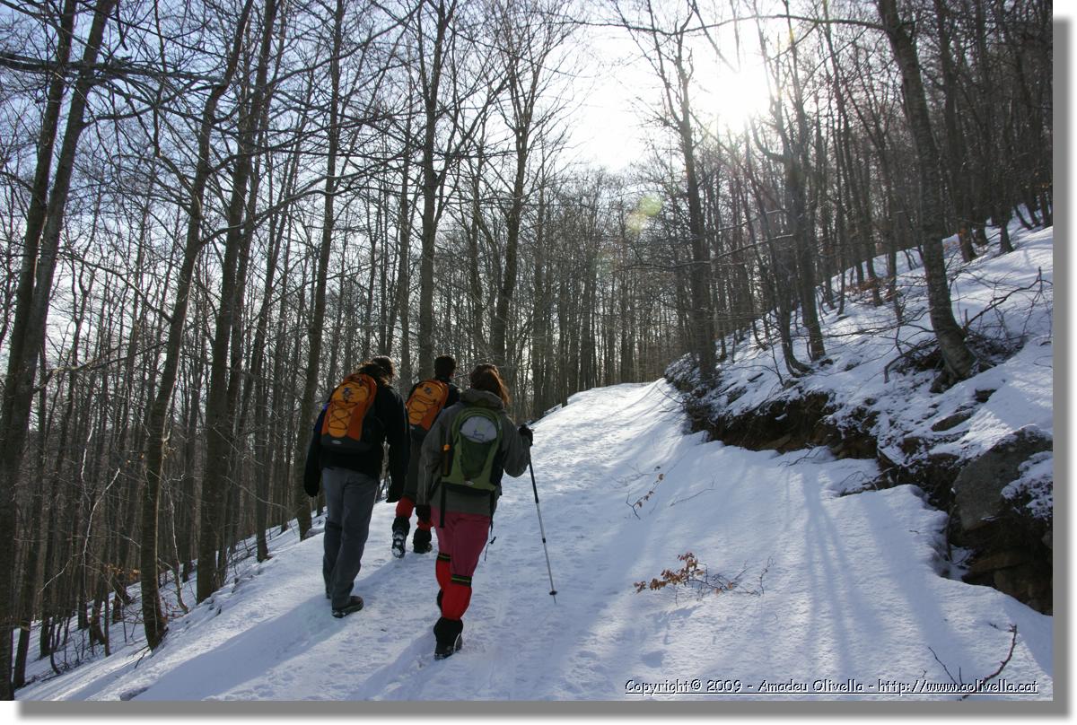 Montseny_006.jpg