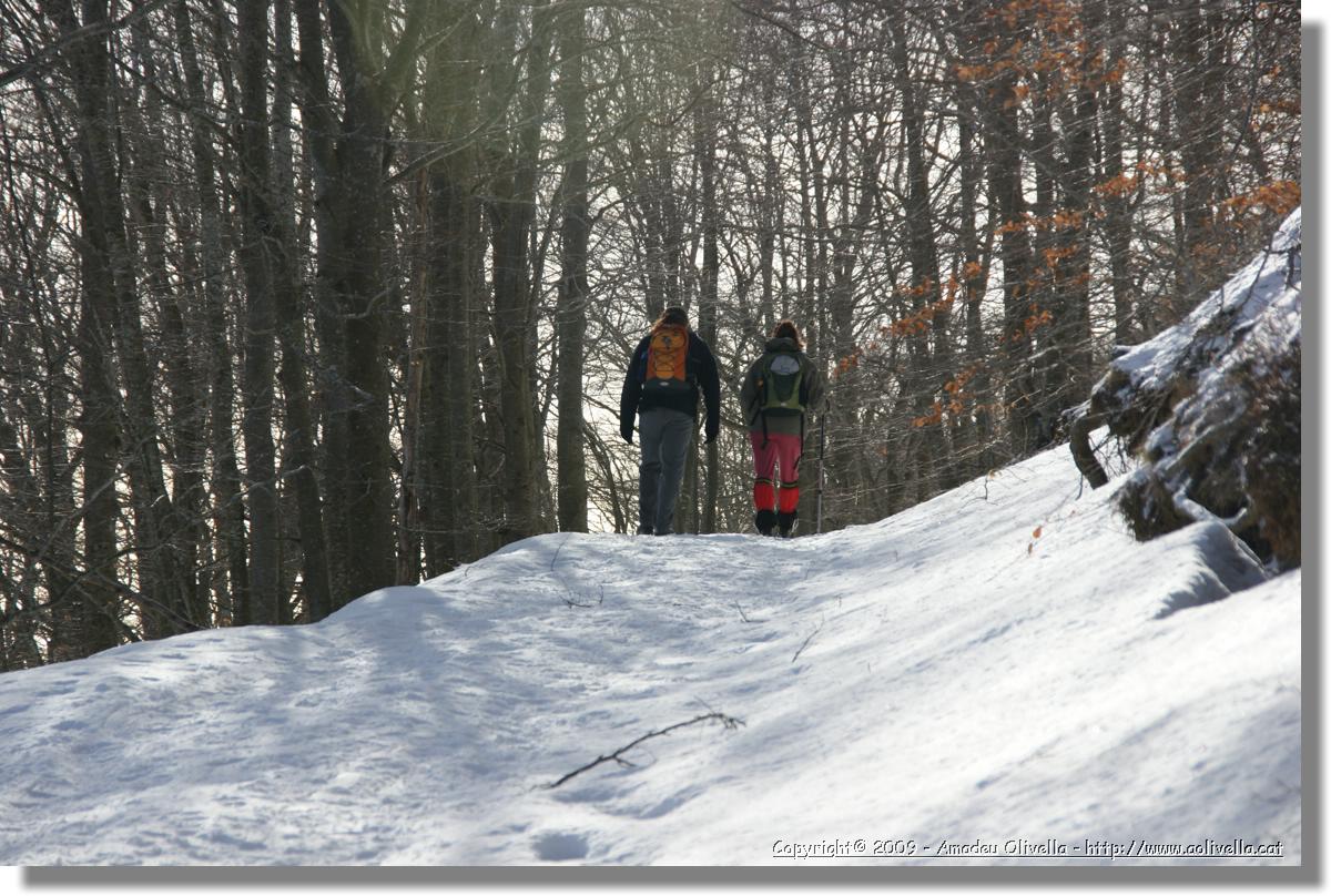 Montseny_008.jpg